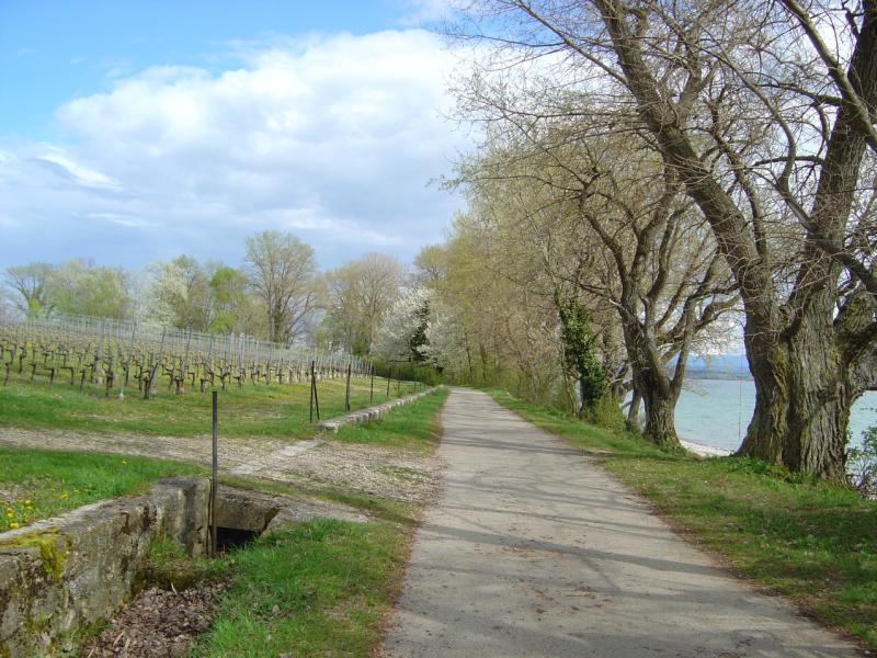 Pointe du Grain