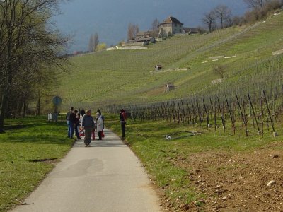 Vue sur l'abbaye de Bevaix