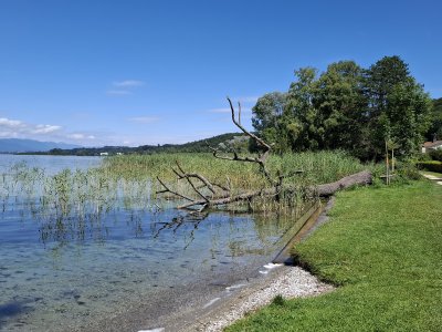 A Lüscherz, au bord du lac de Bienne
