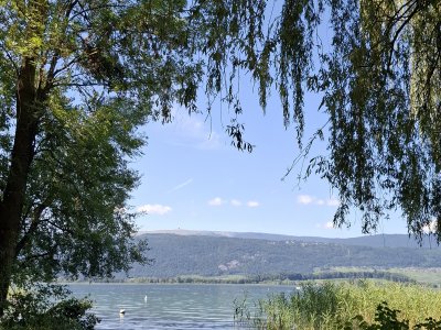 Au bord du lac