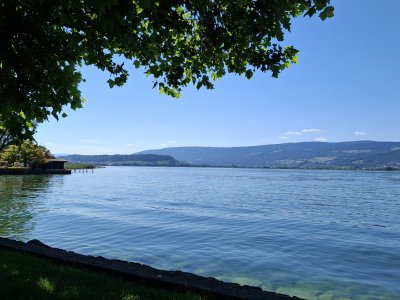 Le lac de Bienne, à Lüscherz