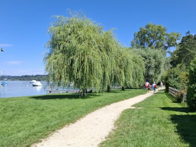 Promenade à Lüscherz