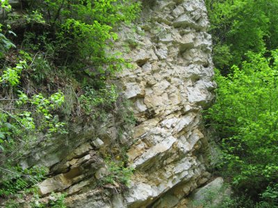 Falaise