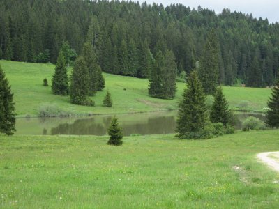 Etang de Plain de Saigne
