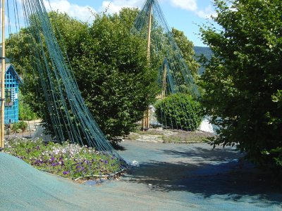 2009