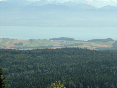 Vue sur le Lac Léman et le Mont Blanc
