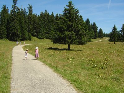 La partie goudronnée du Sentier