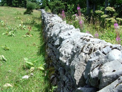 Un mur de pierres sèches