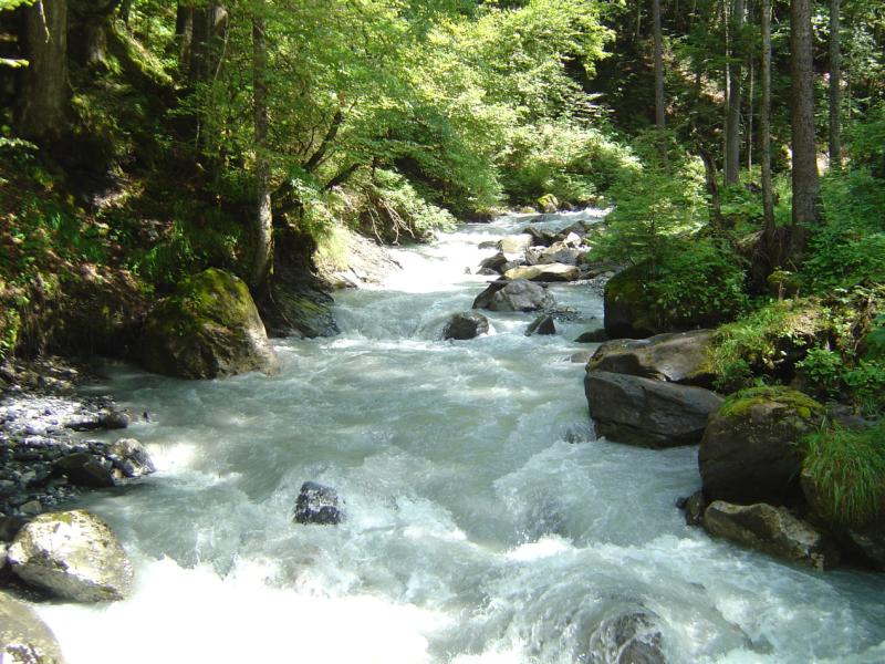 Gorges de l'Avançon de Nant