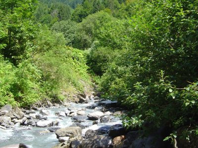 L'Avançon de Nant, au départ des Plans-sur-Bex