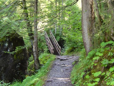 Un escalier sur le sentier pédestre