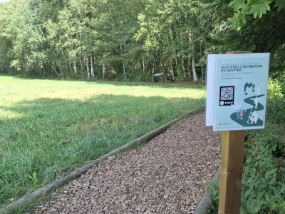 Le chemin didactique