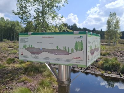 Explication de la formation des tourbières