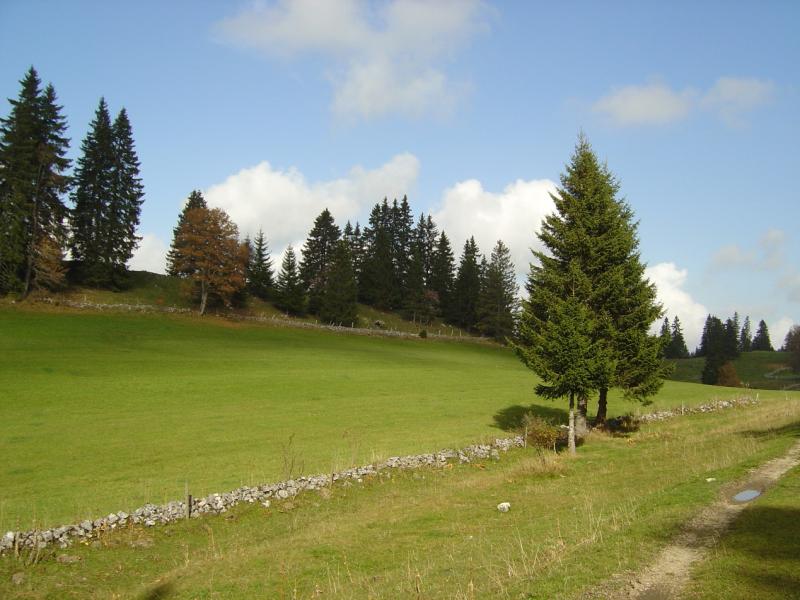 Grand-Sommartel
