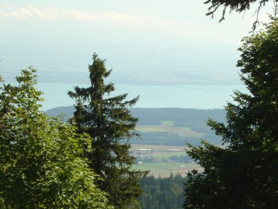 Le lac de Neuchâtel et les Alpes