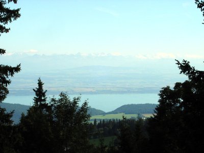 Vue sur le lac de Neuchâtel et les Alpes