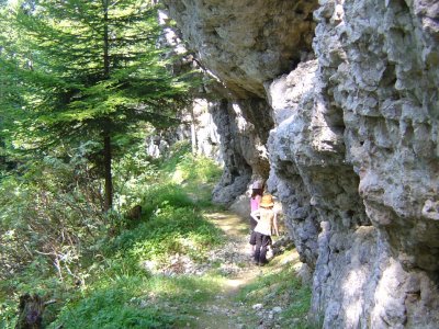 Sous les grands rochers