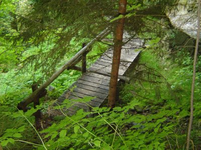 Petit pont sur le Sentier nature