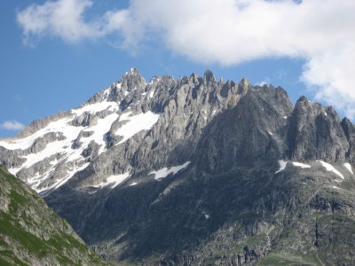 Fusshörner