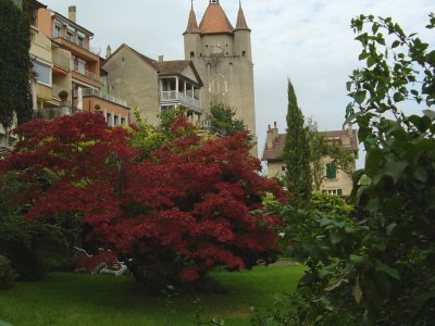 Vue sur l'église d'Orbe