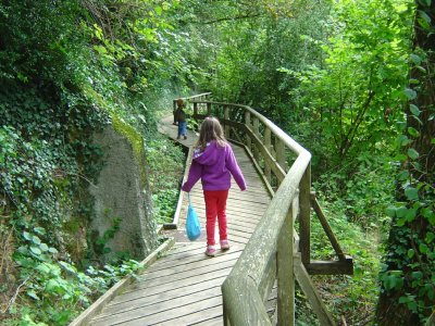 Passerelle en bois sur le Chemin des Présidents