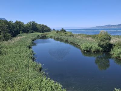 Du haut de la tour d'observation des Grangettes