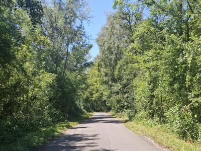 La route goudronnée
