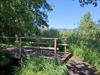 Pont en bois