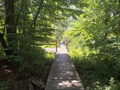 Passerelle en bois