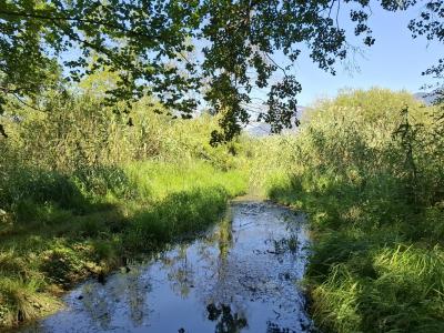 Point d'eau, le long du sentier