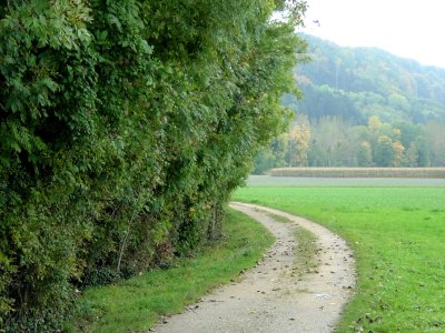 Le chemin caillouteux à travers champs