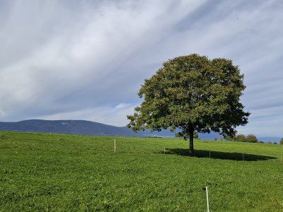 La campagne