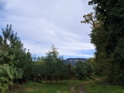 Sur le chemin du retour