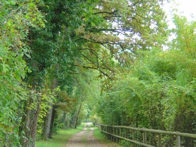 Une partie ombragée du sentier