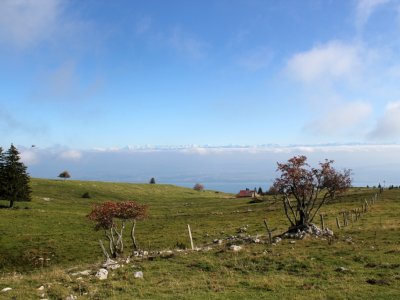 Pâturages des montagnes neuchâteloises
