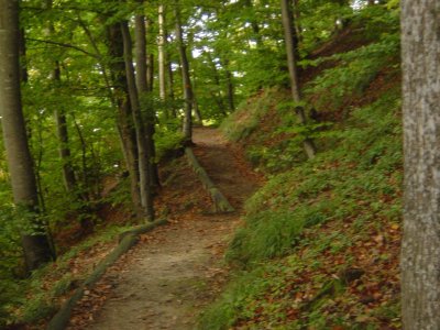 Le sentier accédant à la Roche de la Baume