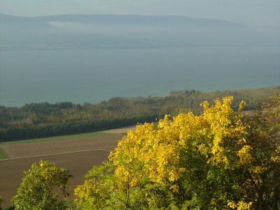 La vue sur la Lac de Neuchâtel, depuis la Roche de la Baume