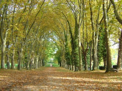 L'Allée des Bourbakis à Colombier NE