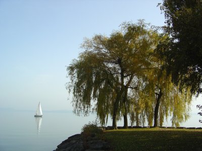 Coup d'oeil sur le lac de Neuchâtel (par temps brumeux)