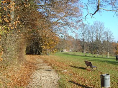 Chemin longeant la lisière