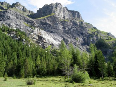 Zahlershorn
