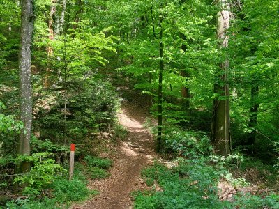 Le balisage est rouge pour le parcours Colombier