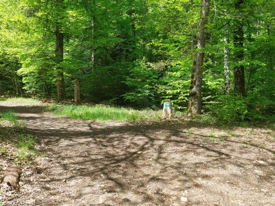 Le balisage vert indique la boucle de Bôle