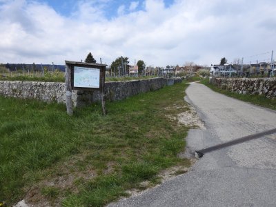 Départ, Auvernier