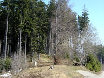 Le départ du sentier botanique forestier du Gibloux
