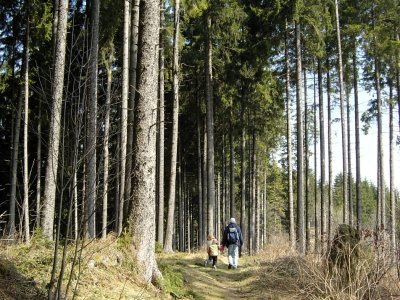 Le sentier botanique du Gibloux