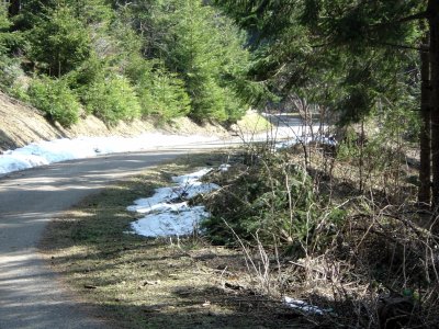 La route entre le parking et la tour