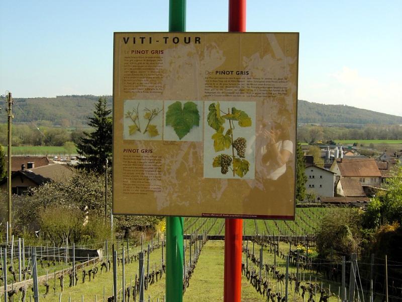 Viti-tour, Cressier NE