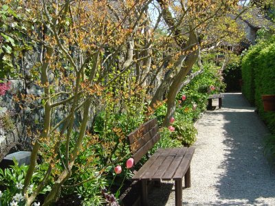 Une allée, dans le jardin des cinq sens