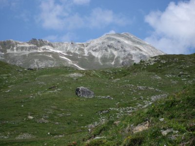 Bella Tola